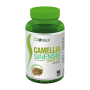 Fitomax™ Camellia sinensis (GREEN TEA) 